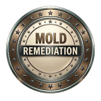 IICRC-certified mold remediation and testing services Mesa Arizona